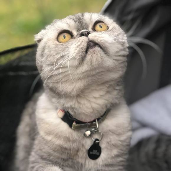 Meet your Posher, Jessica - Picture 1 of 1